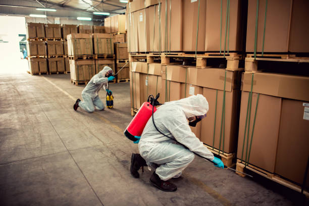 Best Best Pest Control Companies  in New Waverly, TX