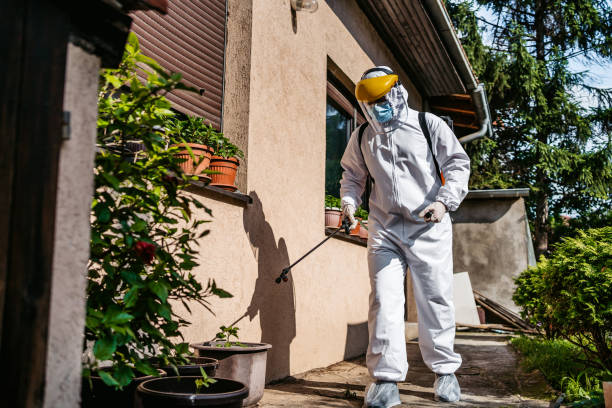 Best Residential Pest Control  in New Waverly, TX