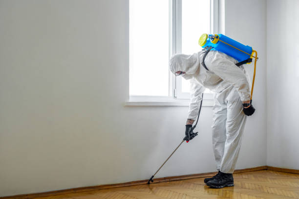 Best Wildlife Control Services  in New Waverly, TX