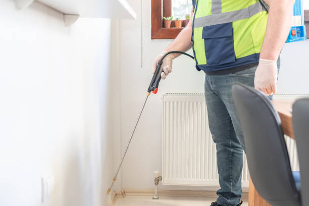 Best Pest Removal Services  in New Waverly, TX