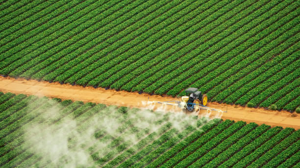 Best Best Pest Control Companies  in New Waverly, TX