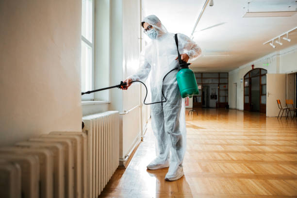 Best Pest Control for Businesses  in New Waverly, TX