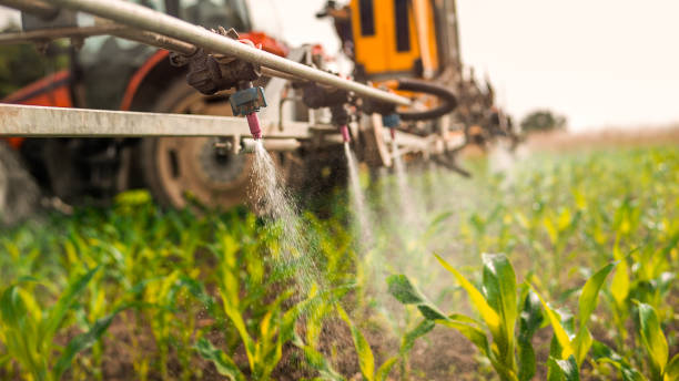 Professional Pest Control in New Waverly, TX