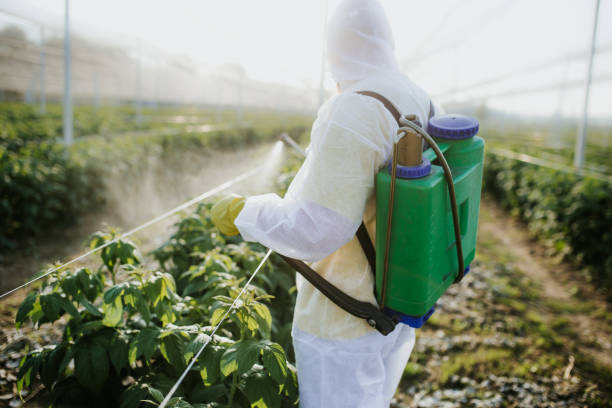 Wildlife Control Services in New Waverly, TX